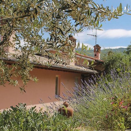 Tuscany Roses Arezzo Extérieur photo