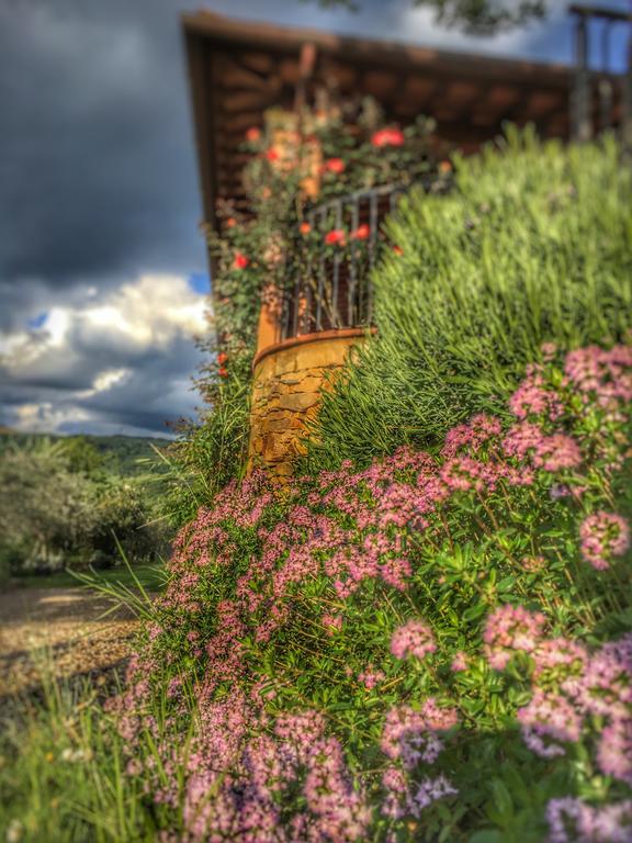 Tuscany Roses Arezzo Extérieur photo